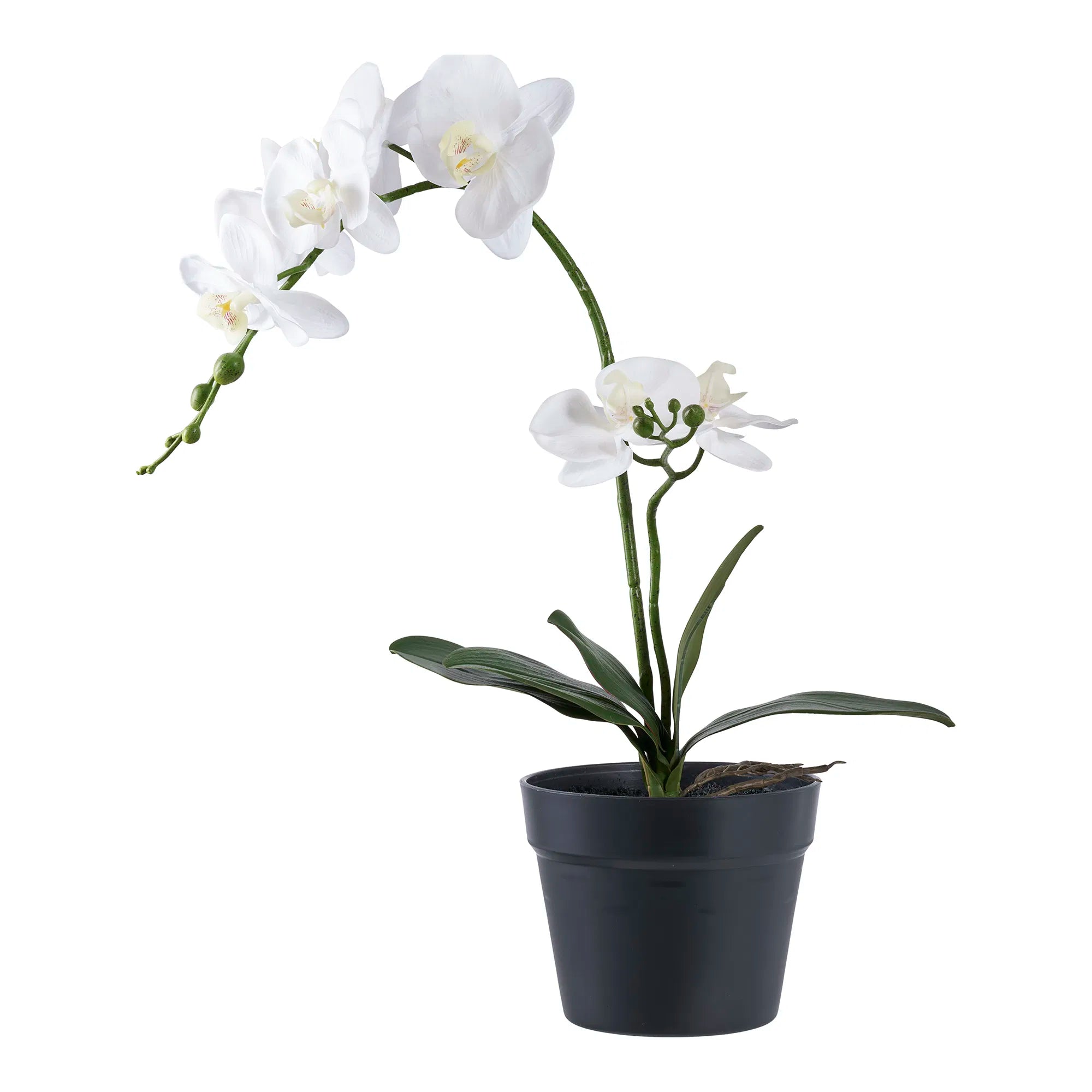 Kunstpflanze Orchidee – 49 cm elegante Blütenpracht für stilvolle Räume