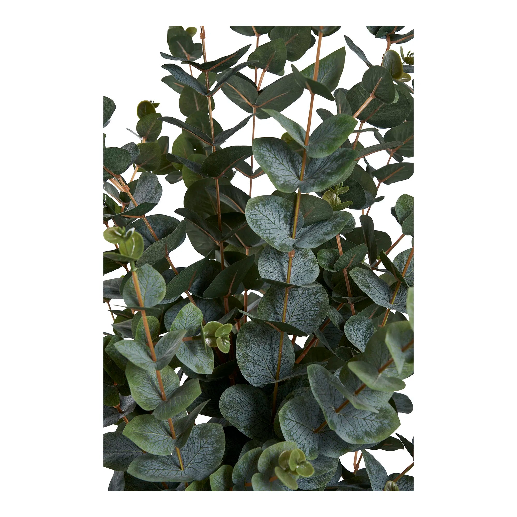 Kunstpflanze Eukalyptus – 120 cm eleganter Blattschmuck für dein Zuhause