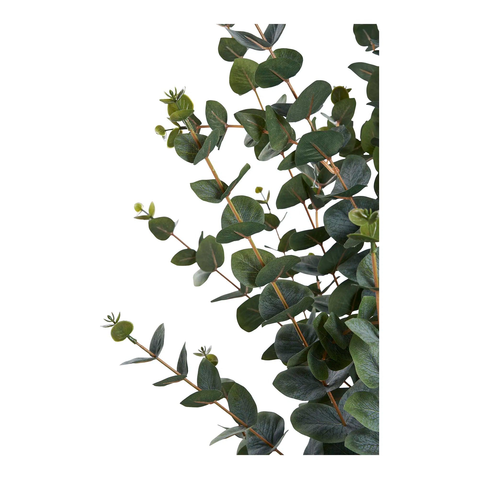 Kunstpflanze Eukalyptus – 120 cm eleganter Blattschmuck für dein Zuhause