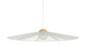 ZUI-10251.01#rawq1:0