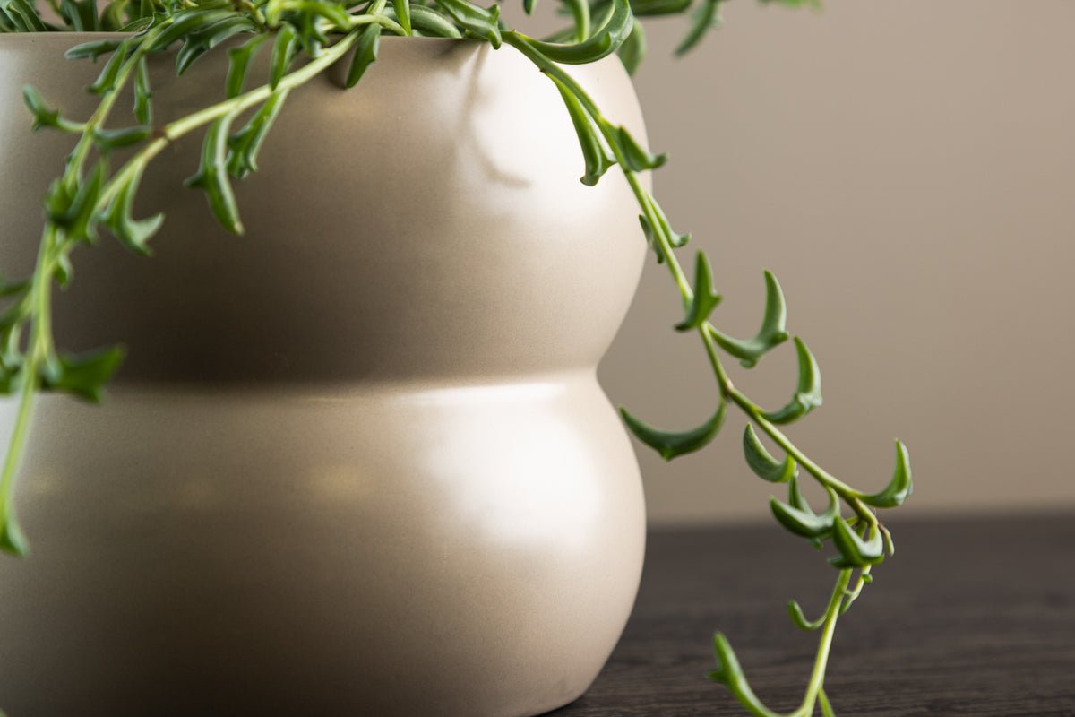 Pot de fleurs Orin - au design discret en céramique