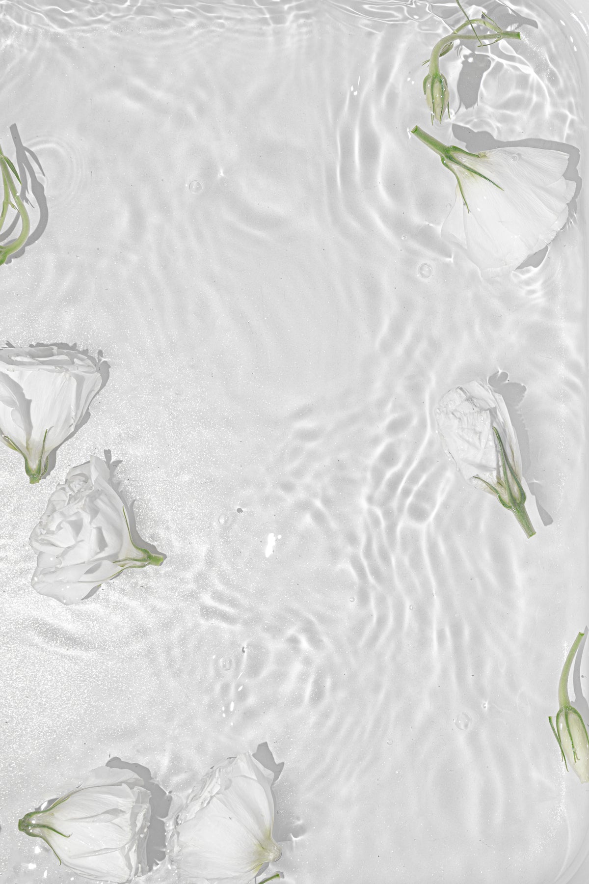 Poster fontaine en papier de haute qualité