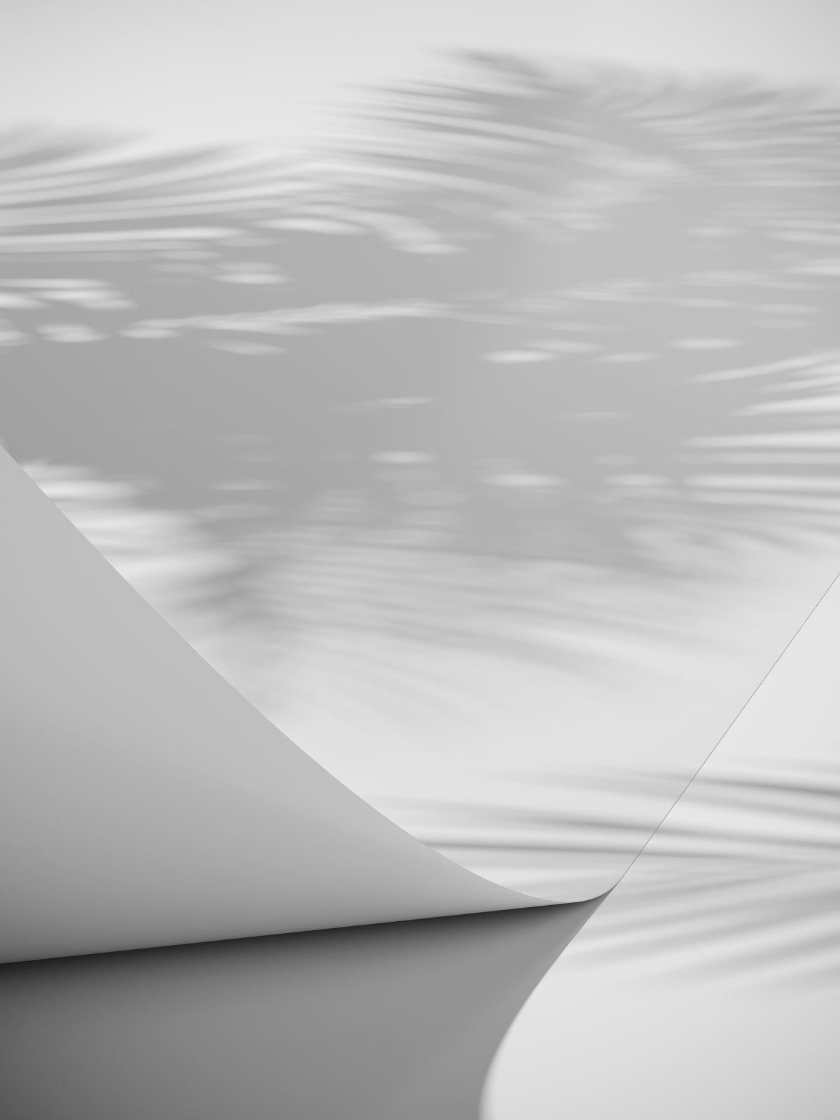 Poster Linea aus hochwertigem Papier