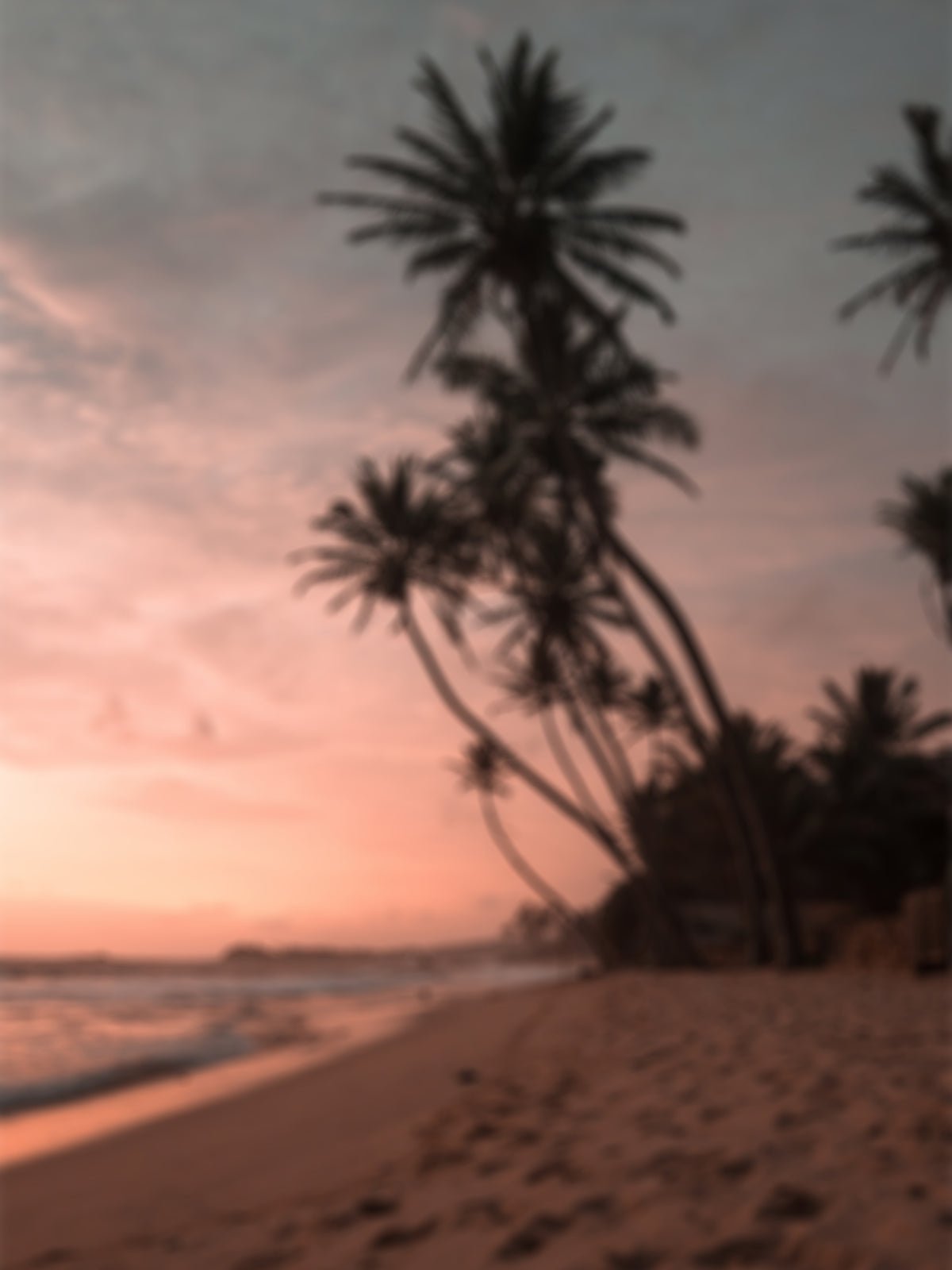 Poster Beach en papier de haute qualité