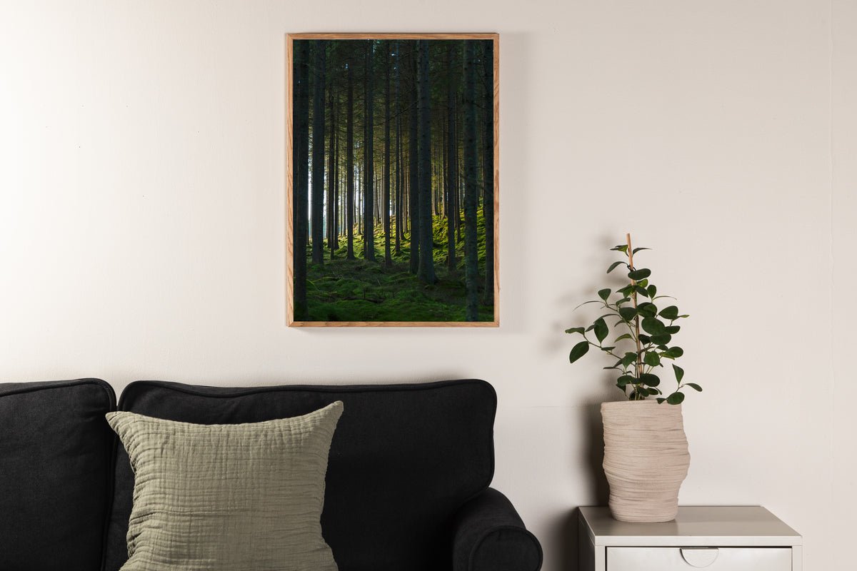 Poster Forêt-Noire en papier de haute qualité