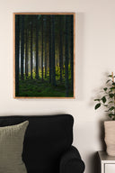 Poster Schwarzwald aus hochwertigem Papier