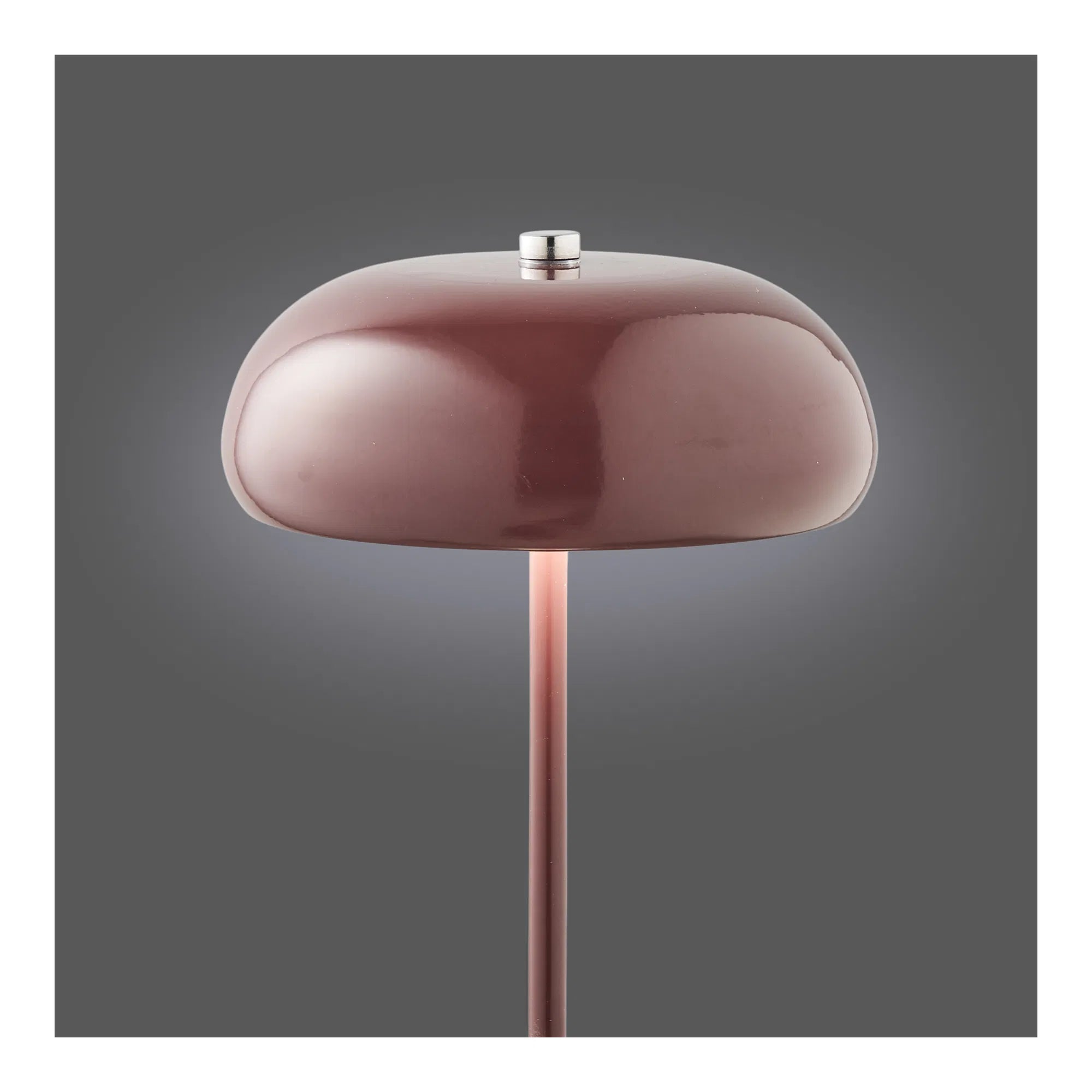 Lampe de table Elviora - Luminaire design en métal avec LED