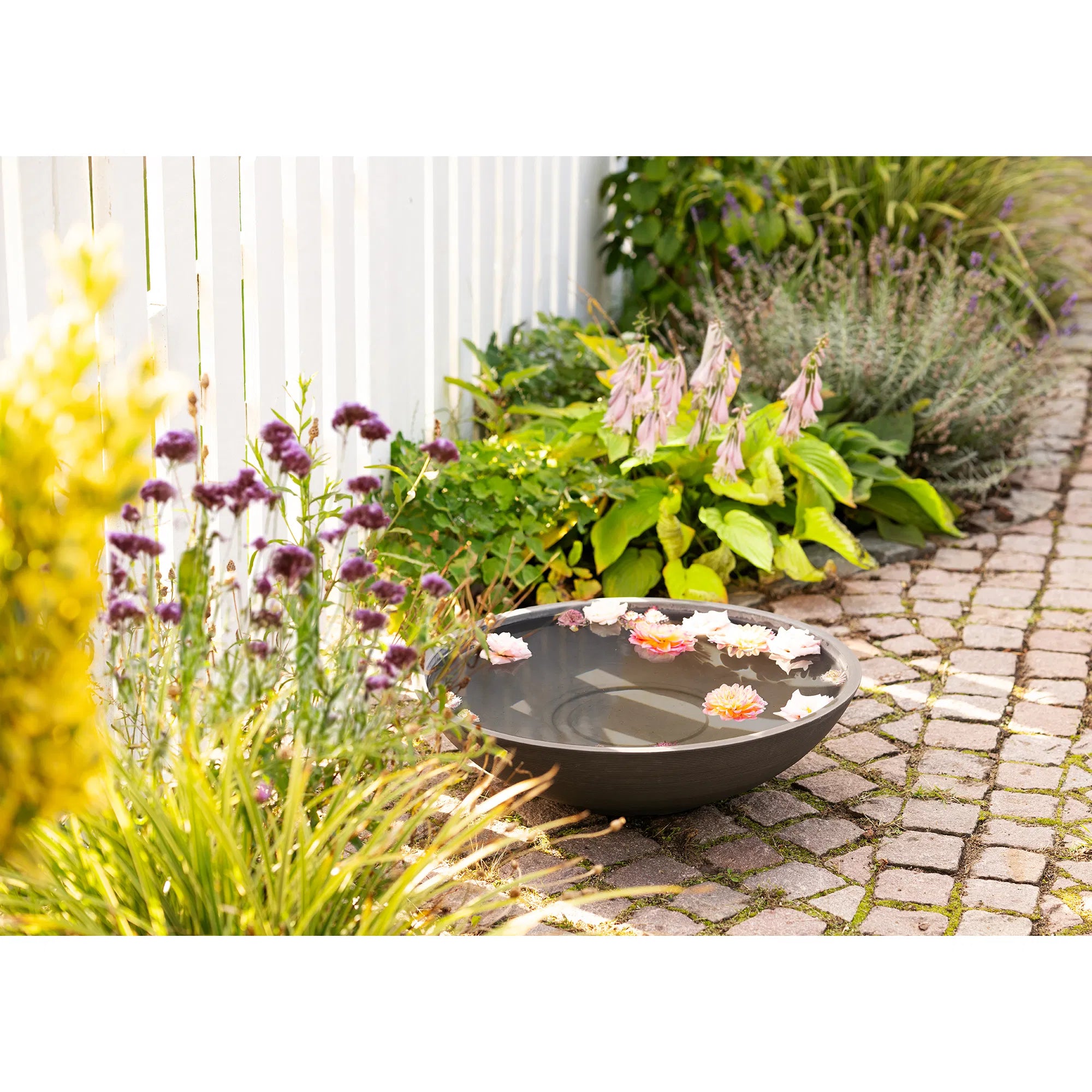 Garten Wasserschale Aldrenor – stilvolle Pflanzenschale in Dunkelgrau