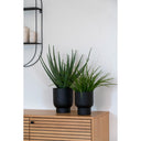 Plante artificielle d'herbe ornementale – 45 cm de fraîcheur moderne pour votre domicile
