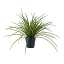 Plante artificielle d'herbe ornementale – 45 cm de fraîcheur moderne pour votre domicile