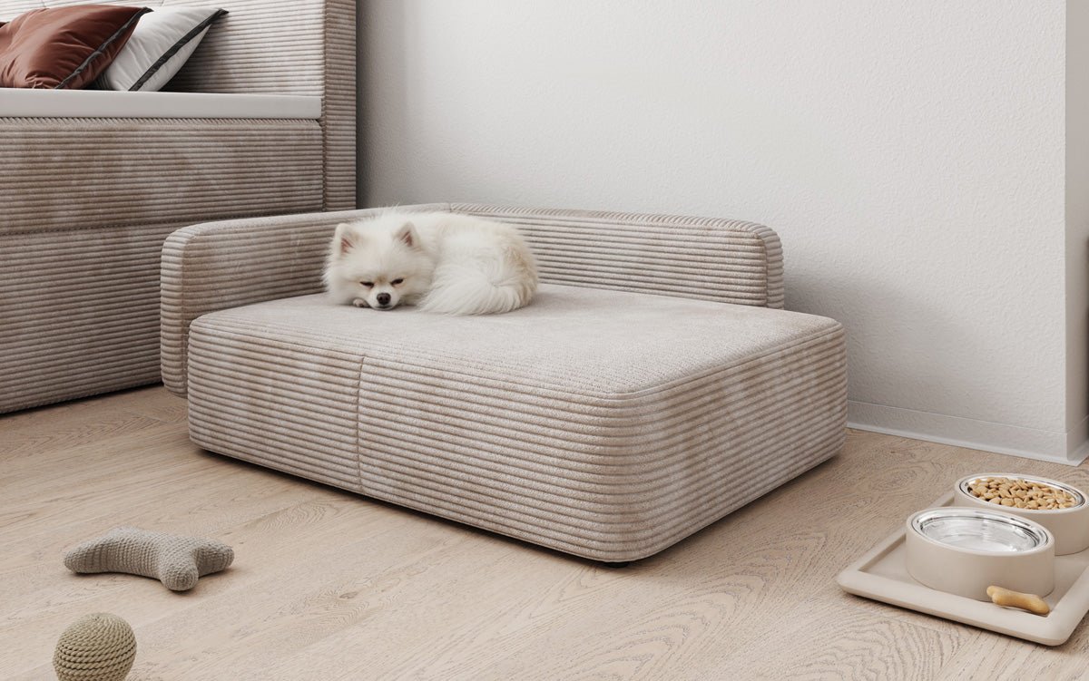 Lit pour chien BelloCouch 80 × 60 cm en Côtelé